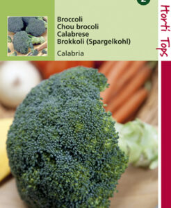 Graines de broccoli calabria