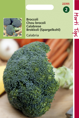 Graines de broccoli calabria