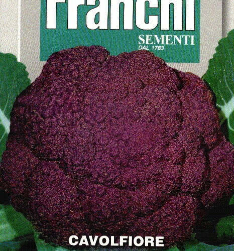 Franchi chou-fleur violet Cavolfiore Sicilia Violetto