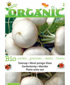 Buzzy Organic Navet Potager Blanc (BIO)