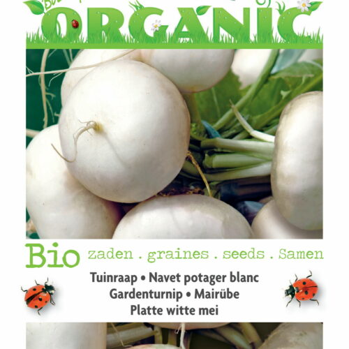Buzzy Organic Navet Potager Blanc (BIO)