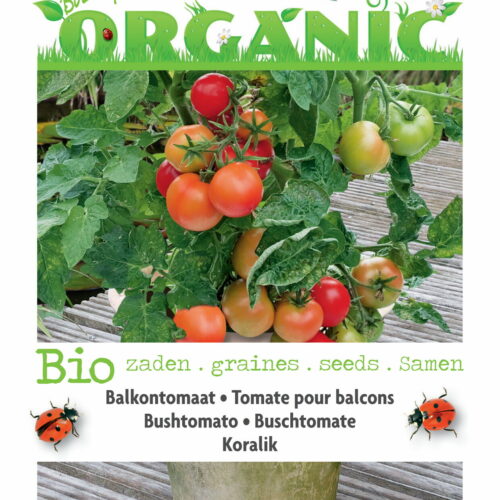 Buzzy Organic Tomate pour balcon Koralik (BIO)