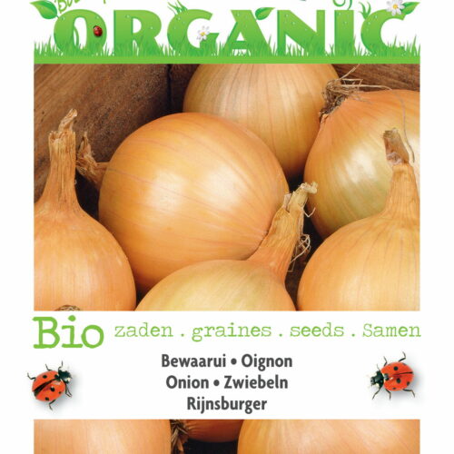 Buzzy Organic Oignon Rijnsburger (BIO)