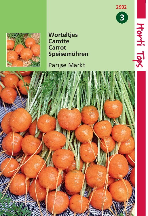 semer des carottes