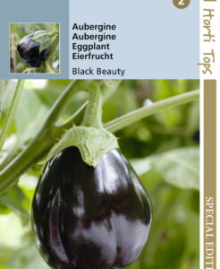 Graines d'aubergines Black Beauty