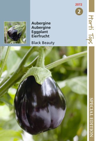 Graines d'aubergines Black Beauty