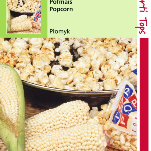 mais zaden voor popcorn