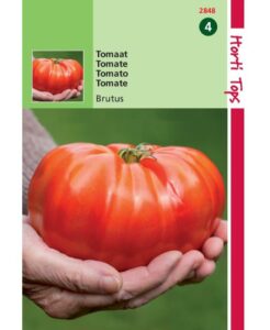Tomaat Brutus 0,2 gram - 50 zaden