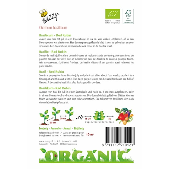Buzzy Organic Basilic Red Rubin (BIO) 2