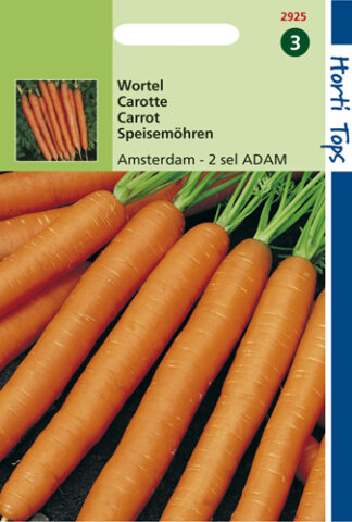Légumes-Carotte-resistafly F1-14000 graines-paquet en vrac